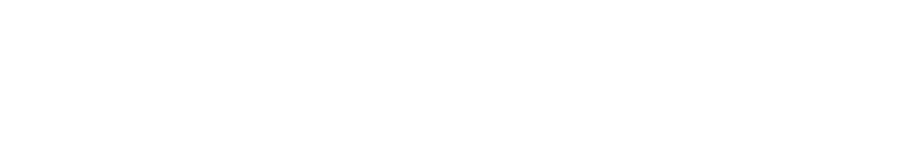 QL MOTORS