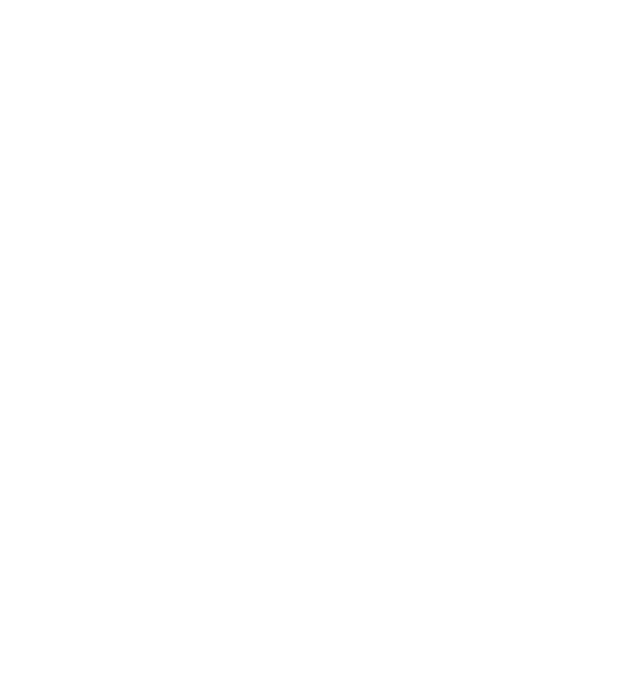 QL MOTORS